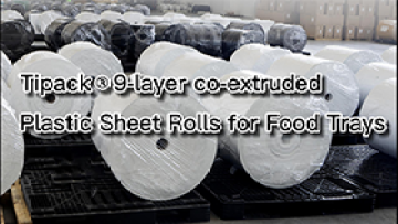 multilayer co-extruded PP sheet roll