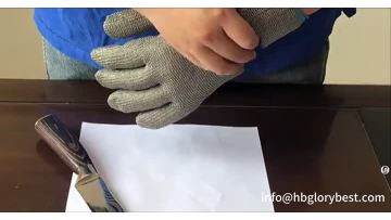 glove showing