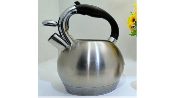 FH-200 high quality stainless steel water kettle