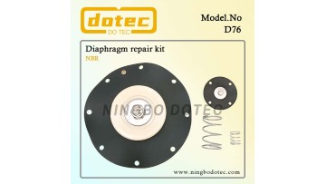 D76 diaphragm