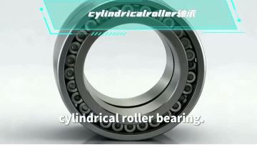 Heavy Duty Full Complement Cylindrical Roller Bearings
