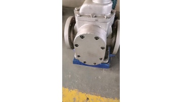 YCB stainless steel arc pump noise low smooth operation crude oil gear pump1