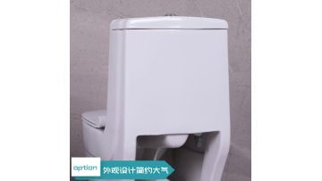 washdown one piece toilet introduction