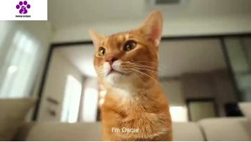 Pet water dispenser1