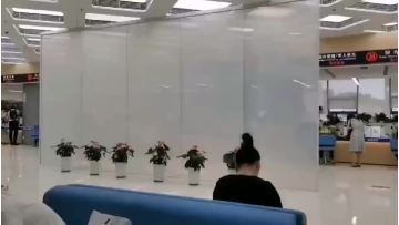 Privacy Window Film