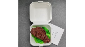 Bagasse Packaging Boxes Food Container 6 inch Clamshell