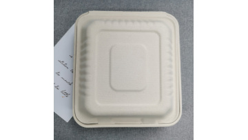 Disposable Sugarcane Biodegradable 8 inch Food Container