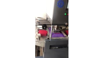 Hot stamping machine