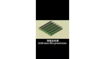 Chinese style multi-span greenhouse plastic film greenhouse for cucumber growing1