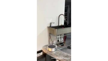 Touchless Sensor Faucet