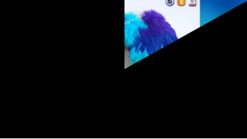 Wholesale Peacock Feather Large Costume Angel Wings For Sale1