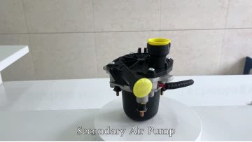 BJ-9352 Secondary Air Pump