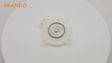 C113443 diaphragm membrane
