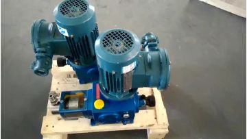 Diaphragm Metering Pumps Mechanical Chemical Dosing Metering Pump1