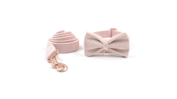 Pink Cat Leash Sets