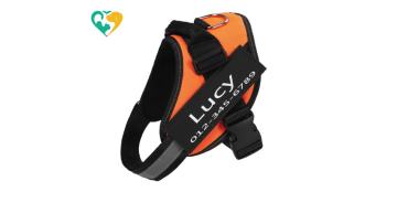 dog harness extra large