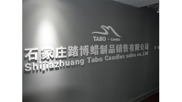 Company Video