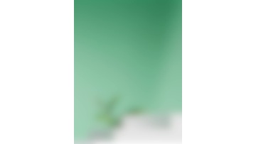 Green Bean Cleansing, Oil Control