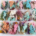 1 Box Real Mix Dried Flower Dry Plants For Aromatherapy Candle Epoxy Resin Pendant Necklace Jewelry Making Craft DIY Accessories