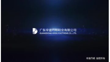 XDDD Introduction