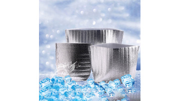 insulated bags for shipping frozen food