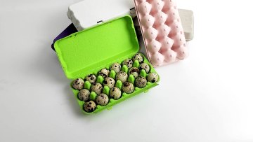 6/10/12/18 Cells Paper Pulp Quail Egg Cartons1