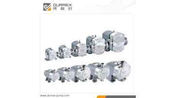 Sanitary rotor pump