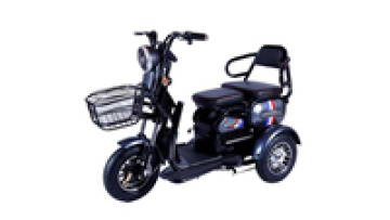 2020 Changli Small Electric Recreational Vehicles for Seniors1