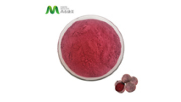 EU Organic Instant Red Beet Leaf Extract Powder1