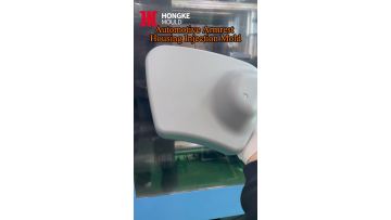 Custom Injection Mold
