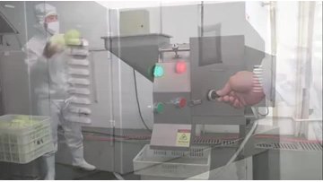 Vegetable Dicing Machine
