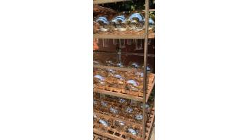 Raw Glass Ball Washing & Drying