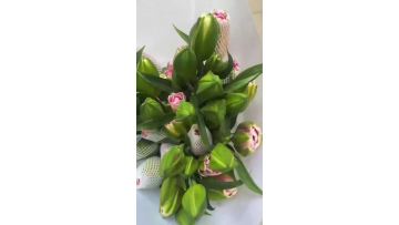 Xiara Double Spray Lily