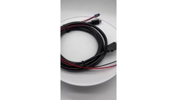 Customized USB2.0 to TYPE-C with extra flying lead