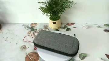 SWITCH EVA CASE
