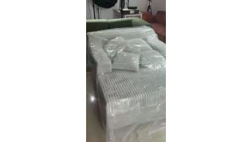 2025-12-23_115609_683