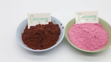 fruit juice powder