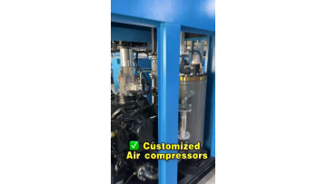 Custom-made large air compressor (bipolar)