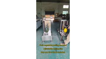 Fruit vegetable peeling machine