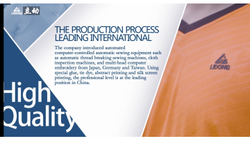 company video