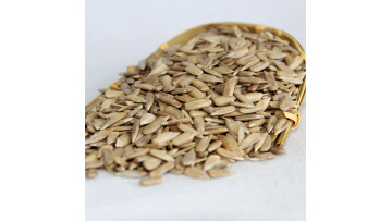 sunflower kernels