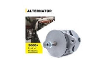 Alternator Search: 6008219390 6008219810 6008613111 6216846650 6742015170 871140044 3675174RX 3675201RX 12V SMALL ALTERNATOR1
