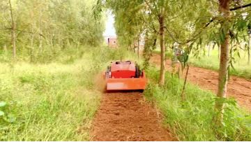 Multi-functional Remote Control Lawn Mower
