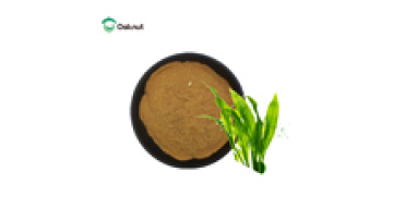 100% Natural Green Seaweed Extract Powder - Premium Plant Extract1