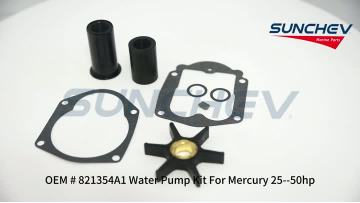 821354A1 Water Pump Kit