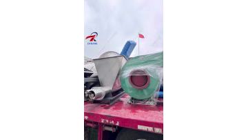 xsg (49)