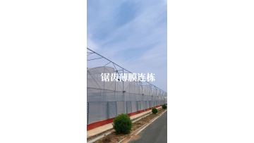 Multi-Span Sawtooth film Greenhouse  
