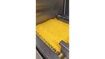 frozen sweet corn input part
