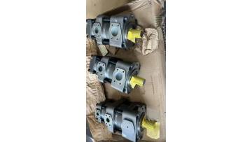 GEAR PUMP QT6252-125-50-A 