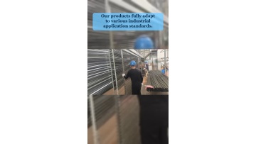 Video 19